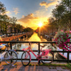 3 days in Amsterdam